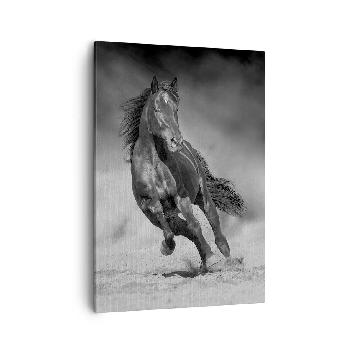 Impression sur toile - Image sur toile - Un cheval noir et blanc galopant sur le sable - 50x70cm - Digne de l'émir lui-même - Décoration murale moderne pour le salon et la chambre ARTTOR