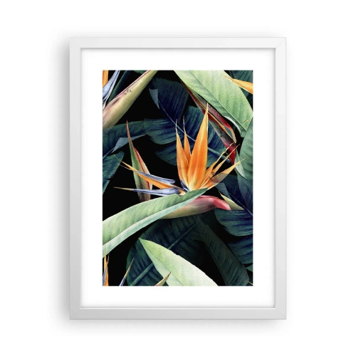 Affiche dans un cadre blanc - Poster - Fleurs flamboyantes des tropiques - 30x40 cm