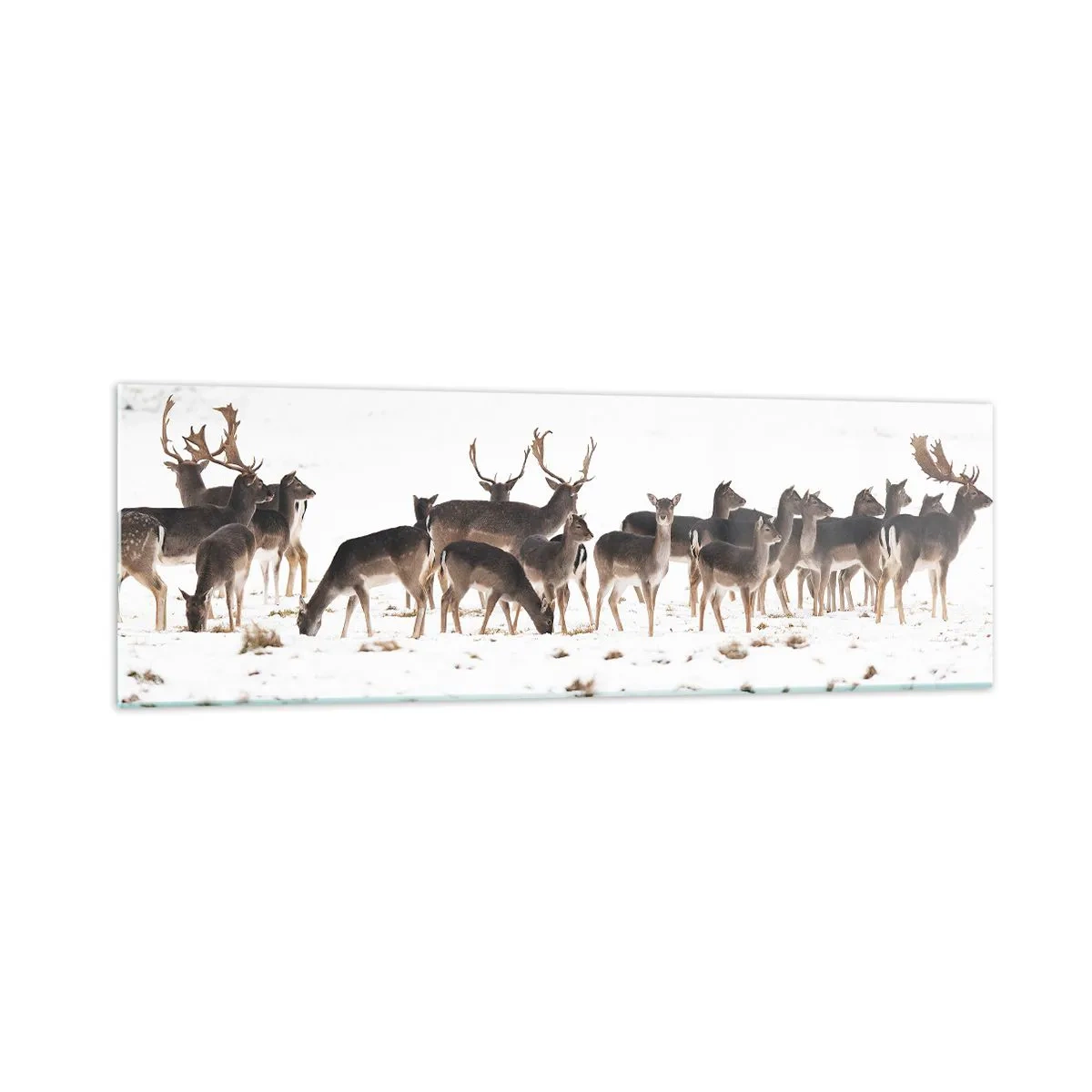 Impression sur verre - Image sur verre - Un troupeau de cerfs sur fond de neige - 160x50cm - Les fêtes approchent ? - Décoration murale moderne pour le salon et la chambre ARTTOR
