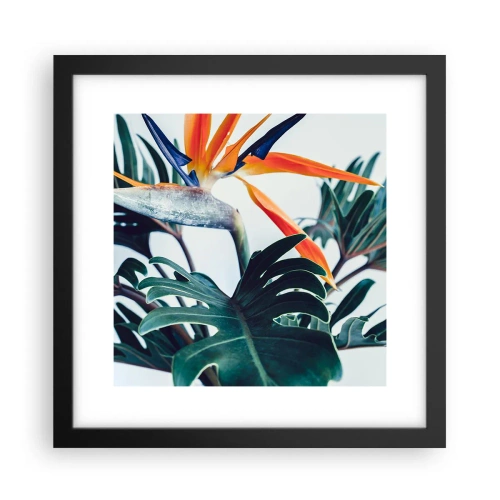 Affiche dans un cadre noir - Poster - Le buisson oiseaux - 30x30 cm