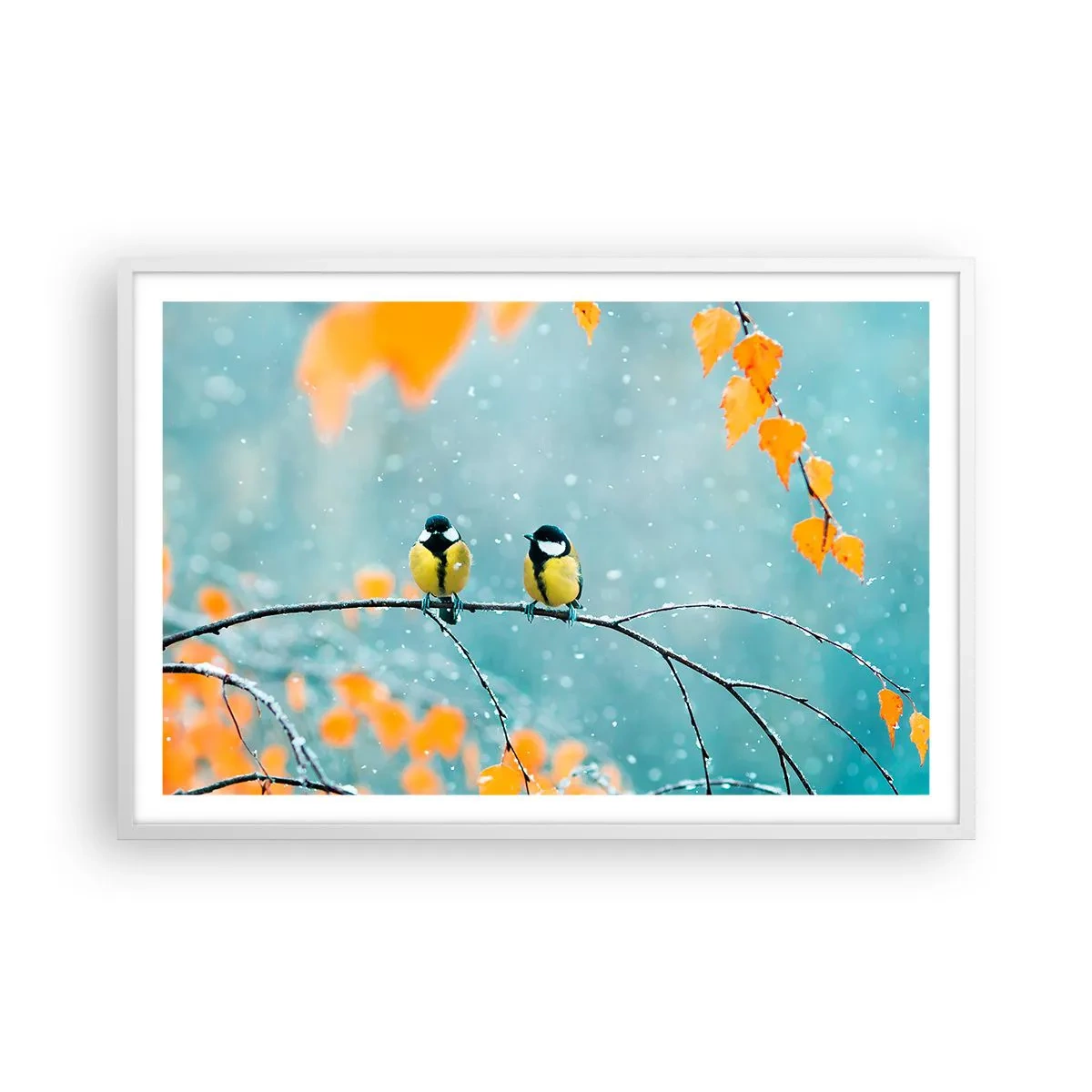 Affiche dans un cadre blanc - Poster - Potins d'oiseaux - 91x61 cm