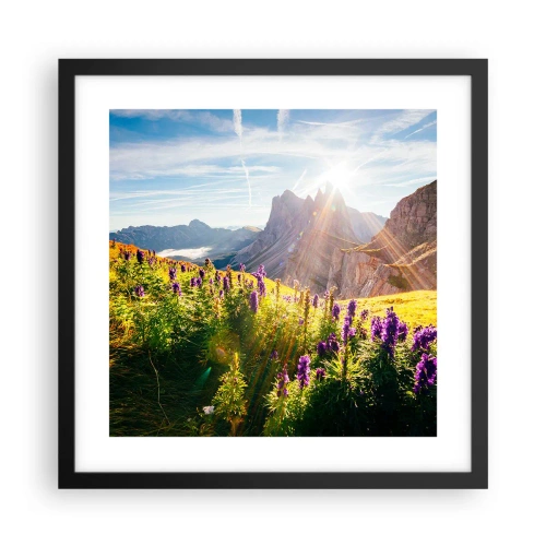 Affiche dans un cadre noir - Poster - La vie secrète des herbes - 40x40 cm