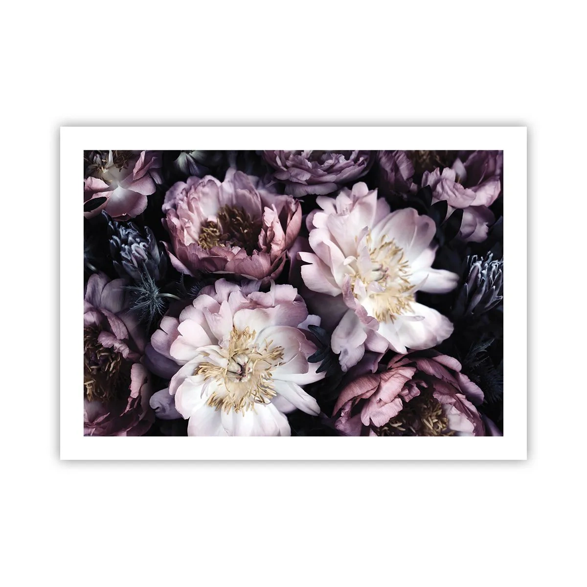 Affiche - Poster - Bouquet à l'ancienne - 70x50 cm