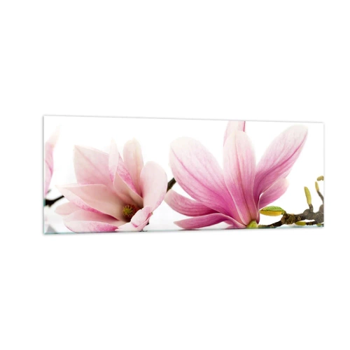 Impression sur verre - Image sur verre - Magnolias roses délicats sur fond blanc - 140x50cm - Délicat comme une brise de printemps - Décoration murale moderne pour le salon et la chambre ARTTOR