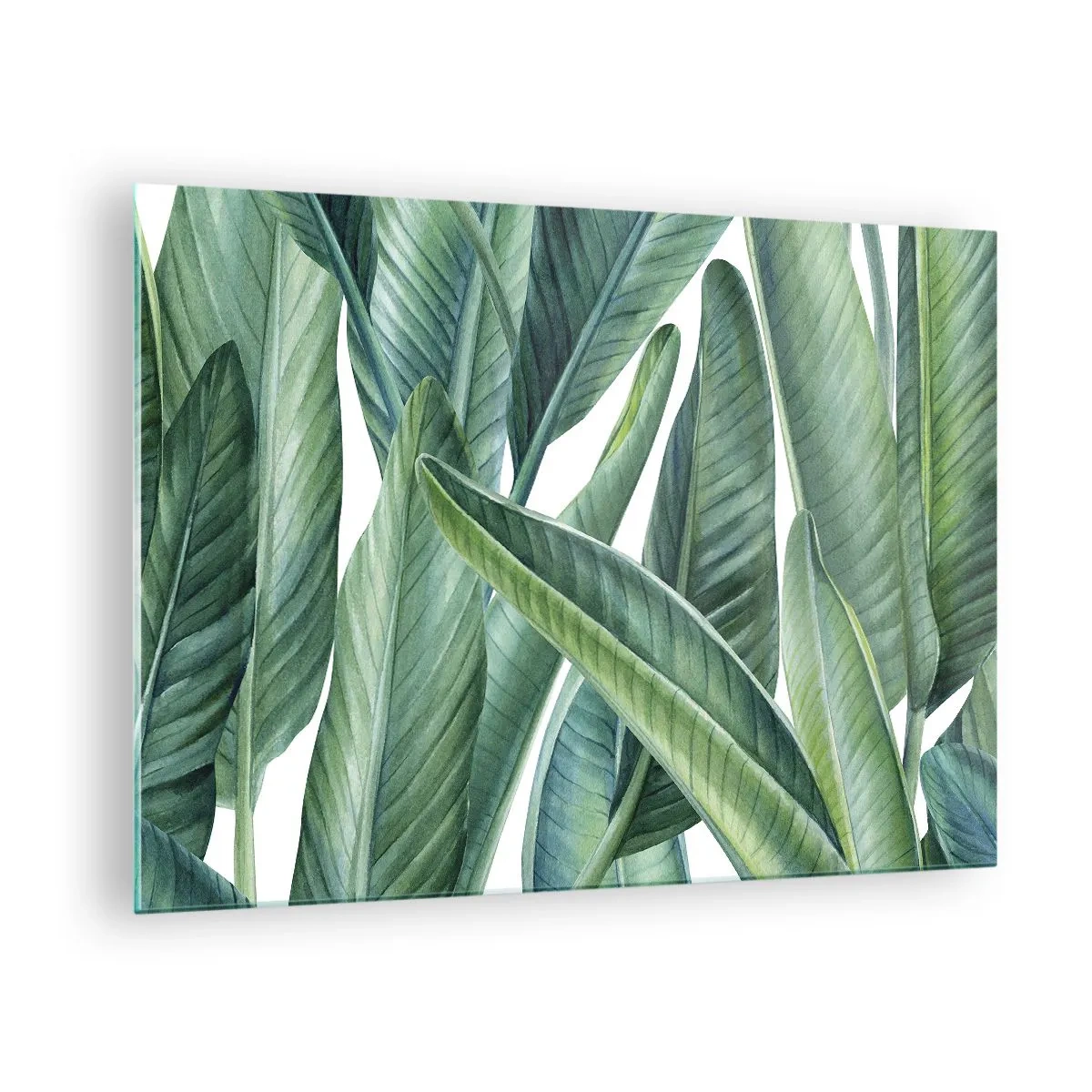 Impression sur verre - Image sur verre - Feuilles tropicales dans des tons de vert - 70x50cm - La nature face à elle-même - Décoration murale moderne pour le salon et la chambre ARTTOR