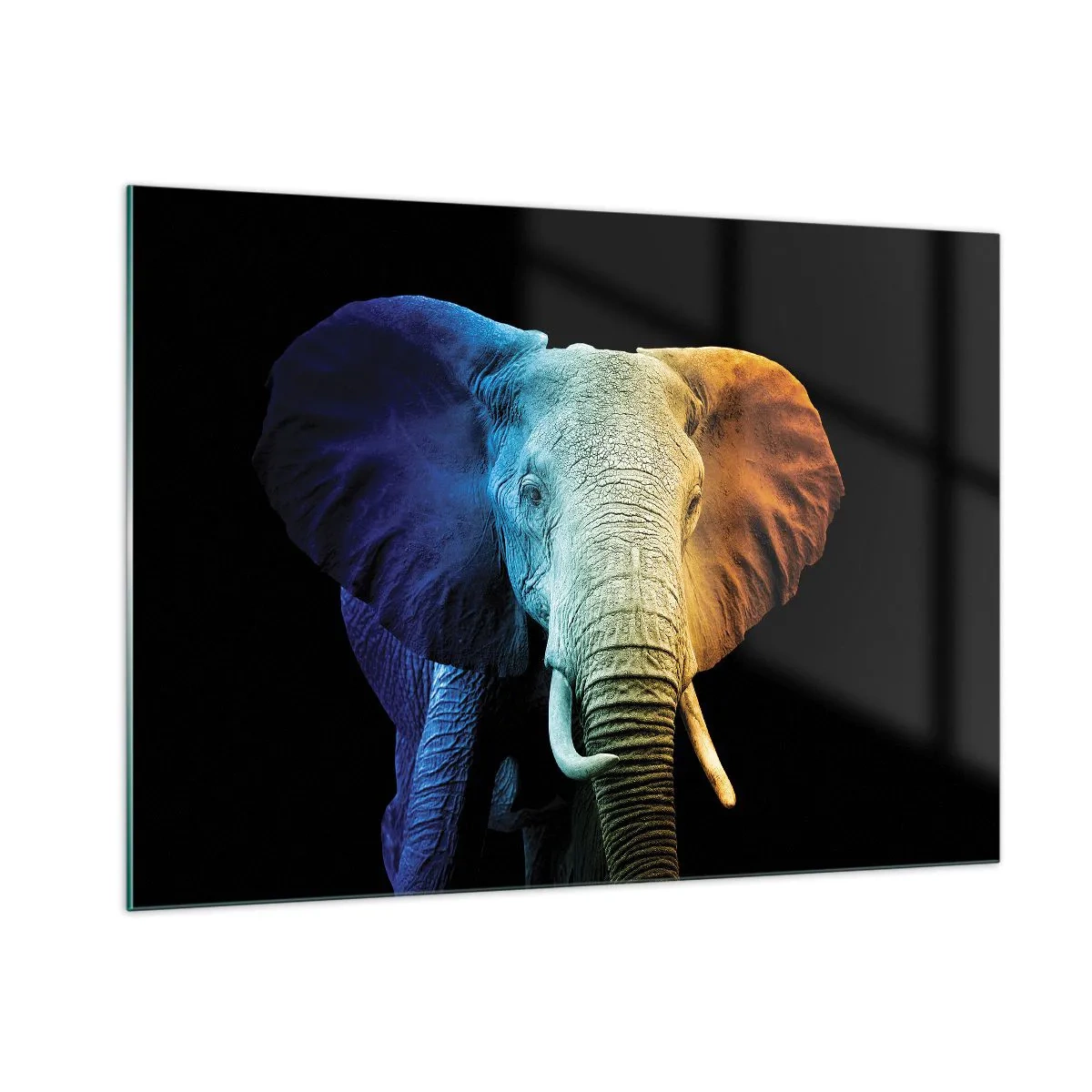 Impression sur verre - Image sur verre - Portrait coloré d'un éléphant sur fond noir - 100x70cm - Excentrique, pas bizarre - Décoration murale moderne pour le salon et la chambre ARTTOR