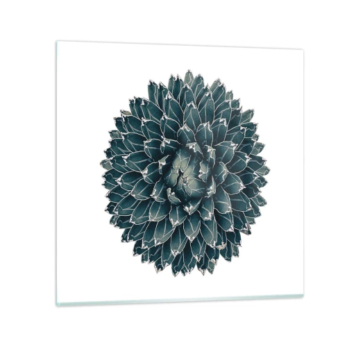 Impression sur verre - Image sur verre - Étoile du désert - 50x50 cm