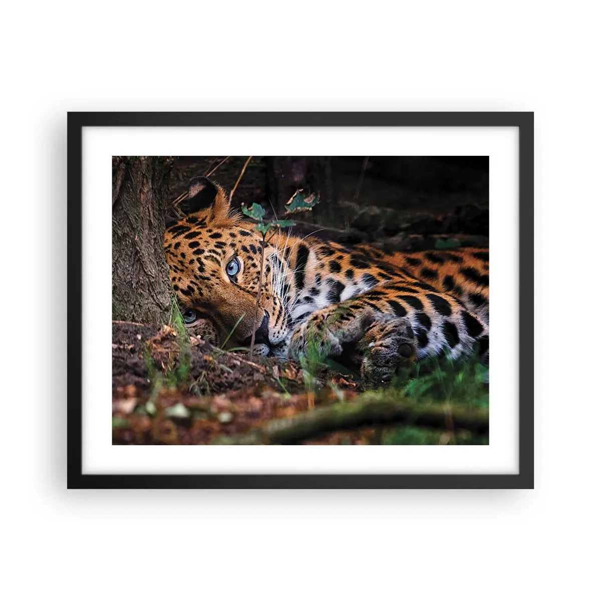 Affiche dans un cadre noir - Poster - Fais-moi confiance - 50x40 cm