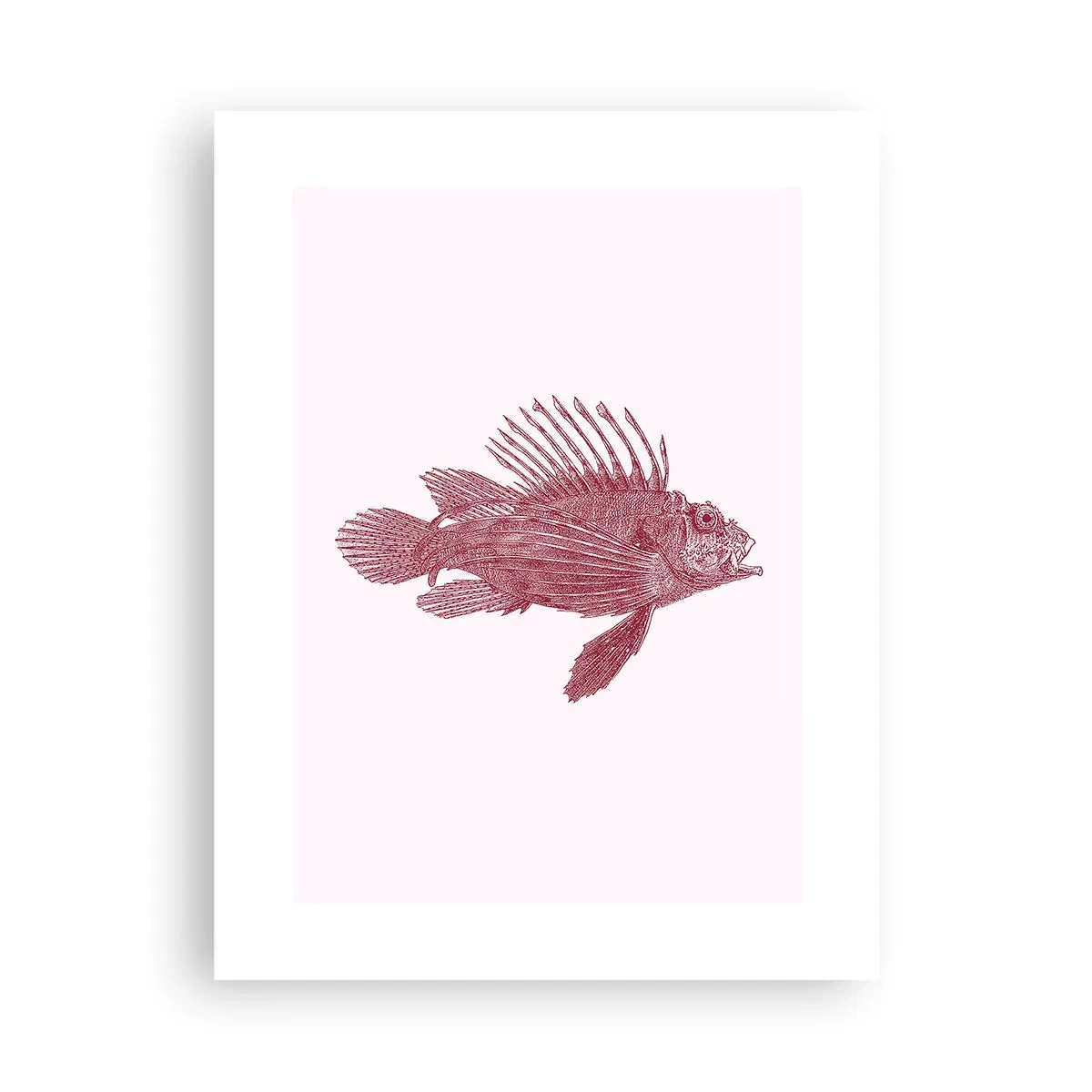 Affiche - Poster - Un habitant des eaux exotiques - 30x40 cm