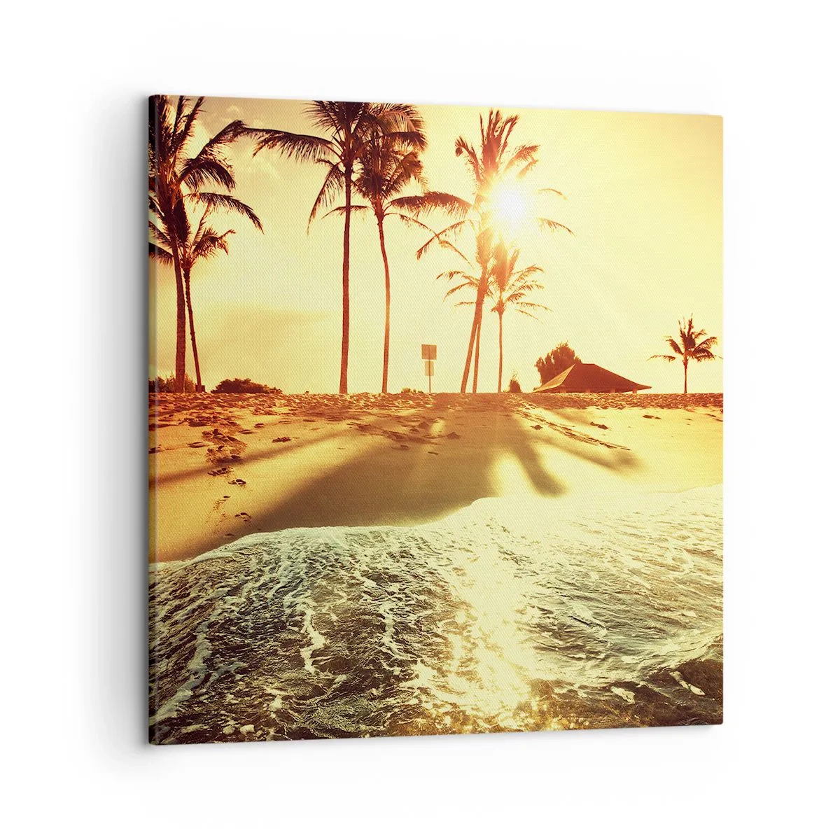 Impression sur toile - Image sur toile - Après-midi californien - 50x50 cm