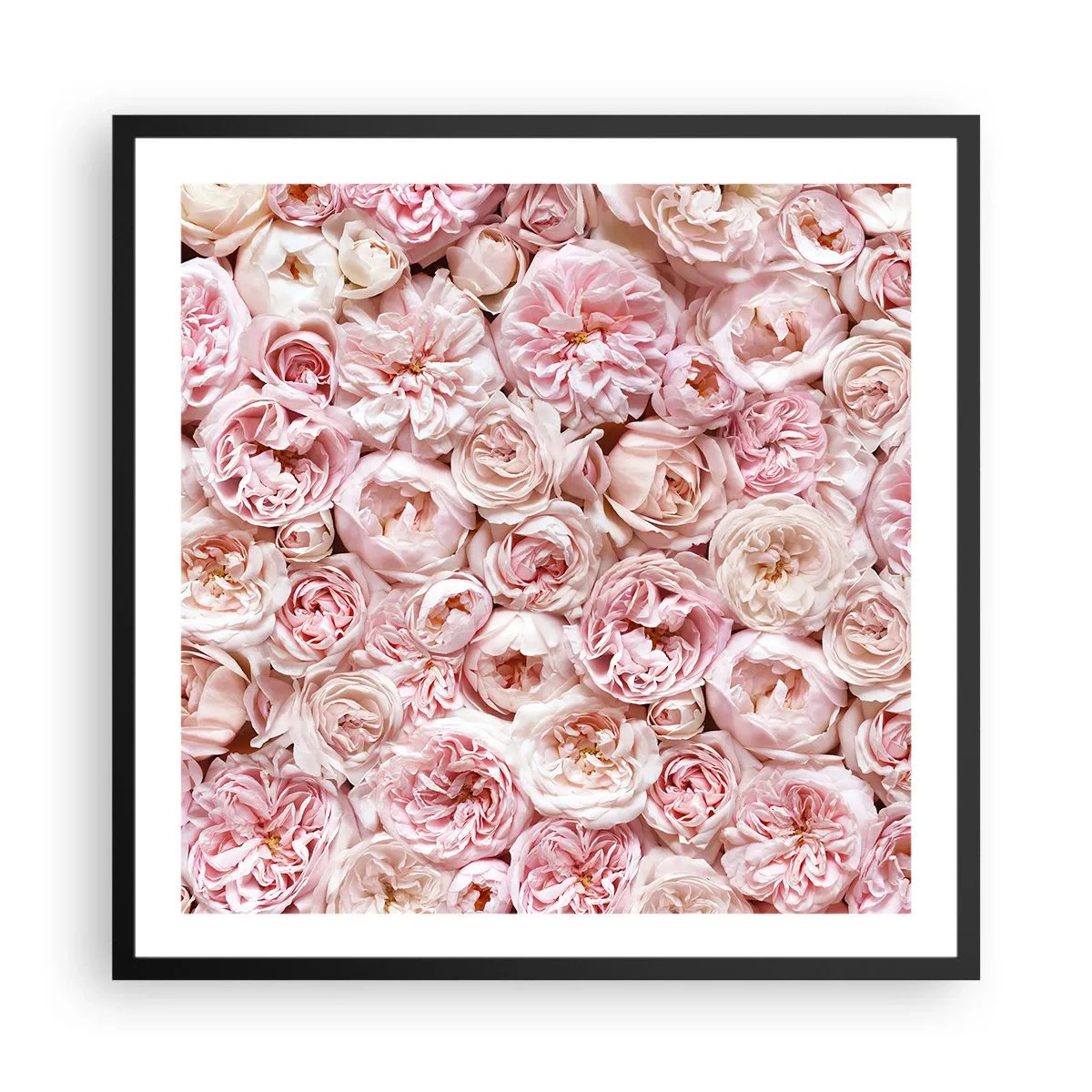 Affiche dans un cadre noir - Poster - Un lit de roses - 60x60 cm