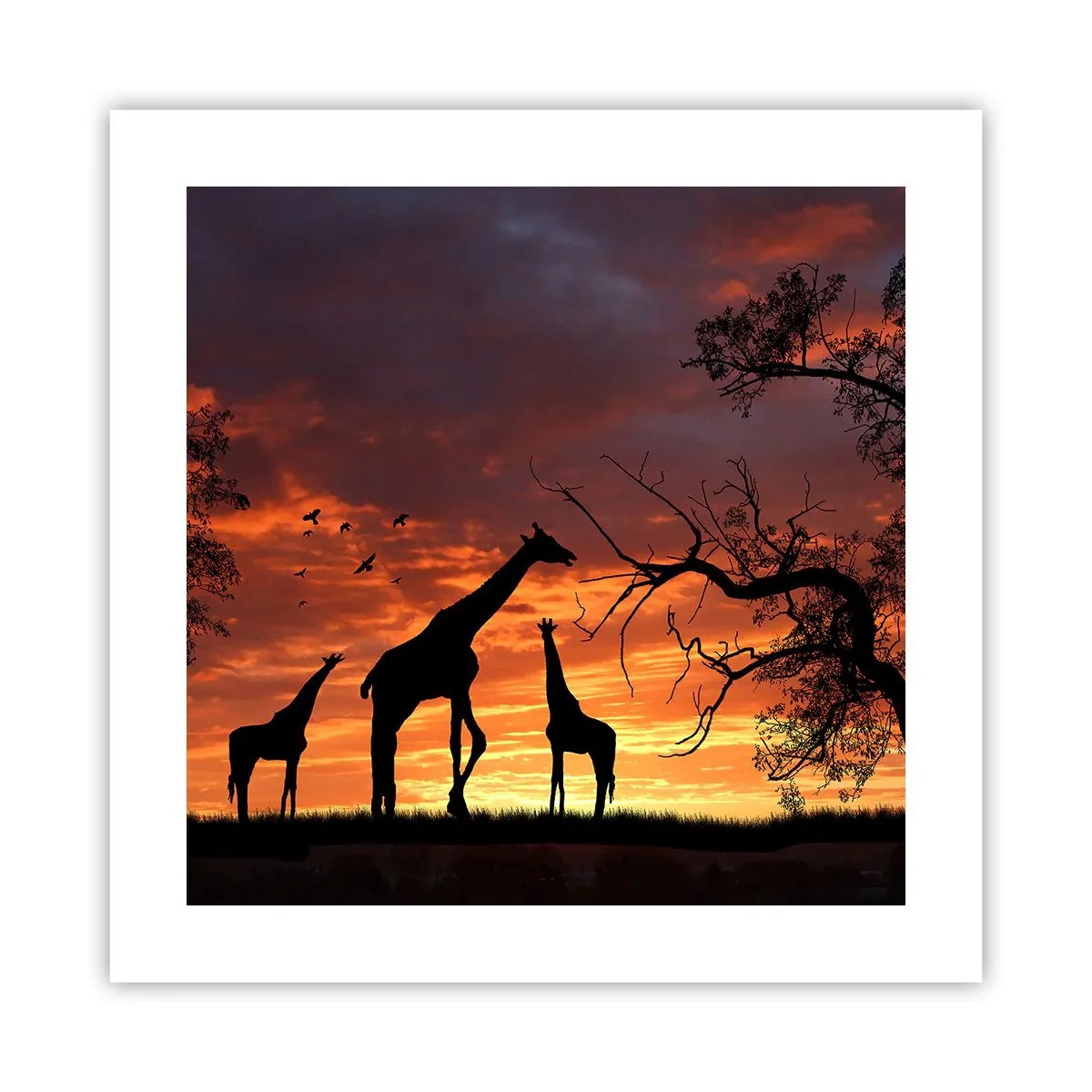 Affiche - Poster - Un petit dîner avec vos proches - 40x40 cm