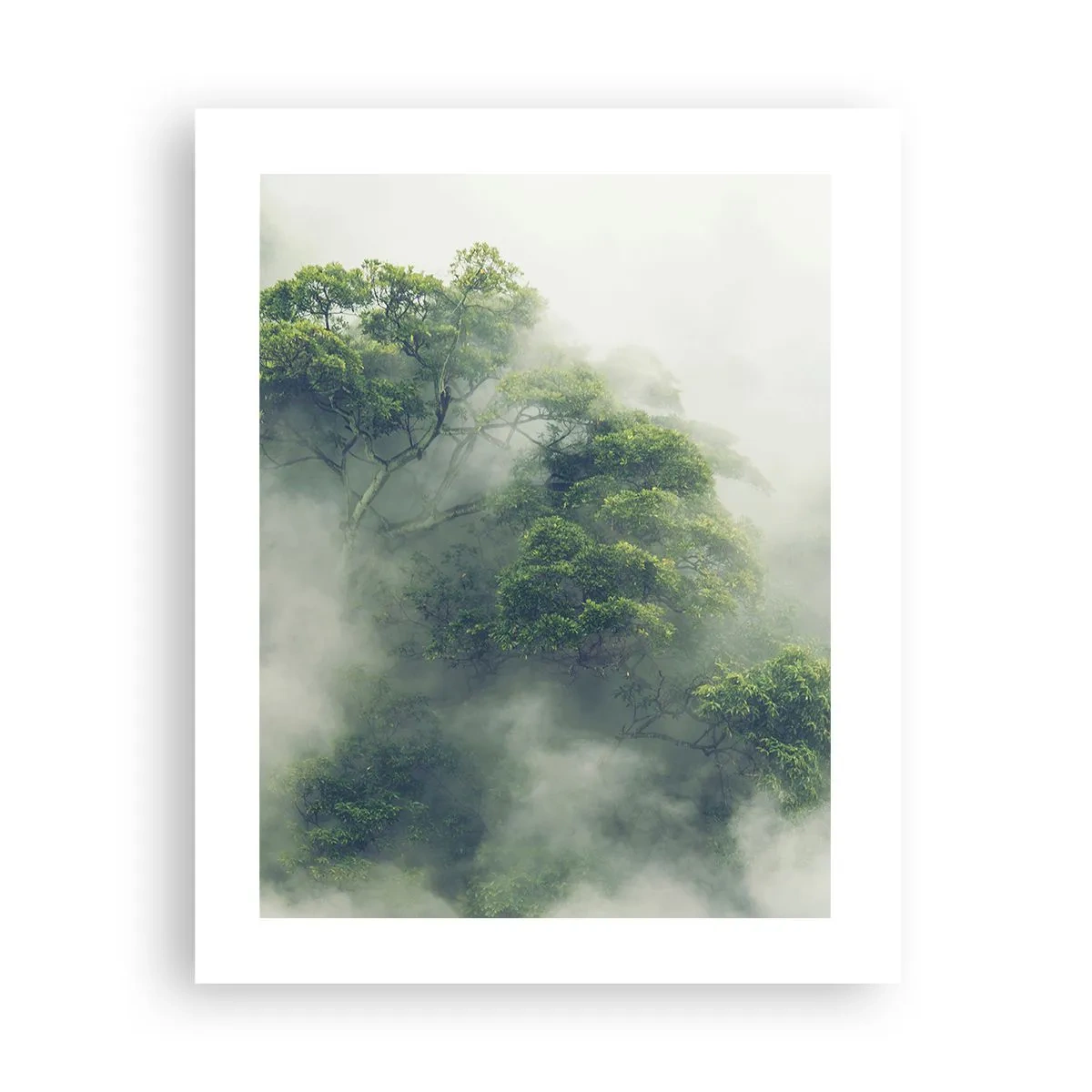 Affiche - Poster - Enveloppé de brouillard - 40x50 cm