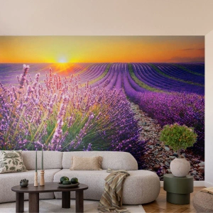 Papier Peint Photo Premium Sand - Champs de lavande au coucher du soleil - 100x70cm - Tige parfumée - Décoration murale moderne pour le salon et la chambre ARTTOR