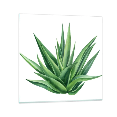 Impression sur verre - Image sur verre - Vert – force – vie - 60x60 cm