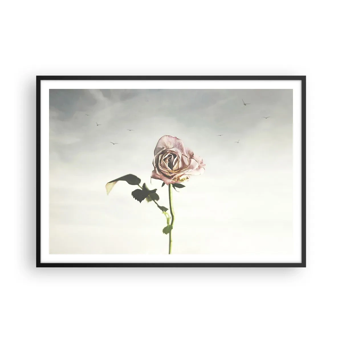 Affiche dans un cadre noir - Poster - Une rose délicate contre un ciel lumineux avec des oiseaux en vol - 100x70cm - Bonjour de printemps - Décoration murale moderne pour le salon et la chambre ARTTOR