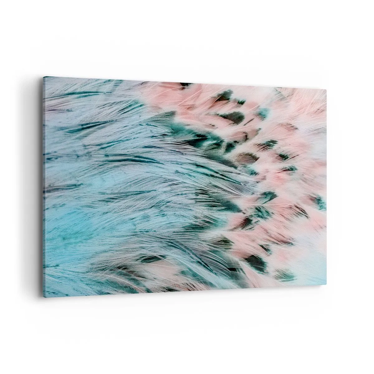 Impression sur toile - Image sur toile - Gros plan de plumes aux couleurs rose saphir pastel - 100x70cm - Duvet rose saphir - Décoration murale moderne pour le salon et la chambre ARTTOR