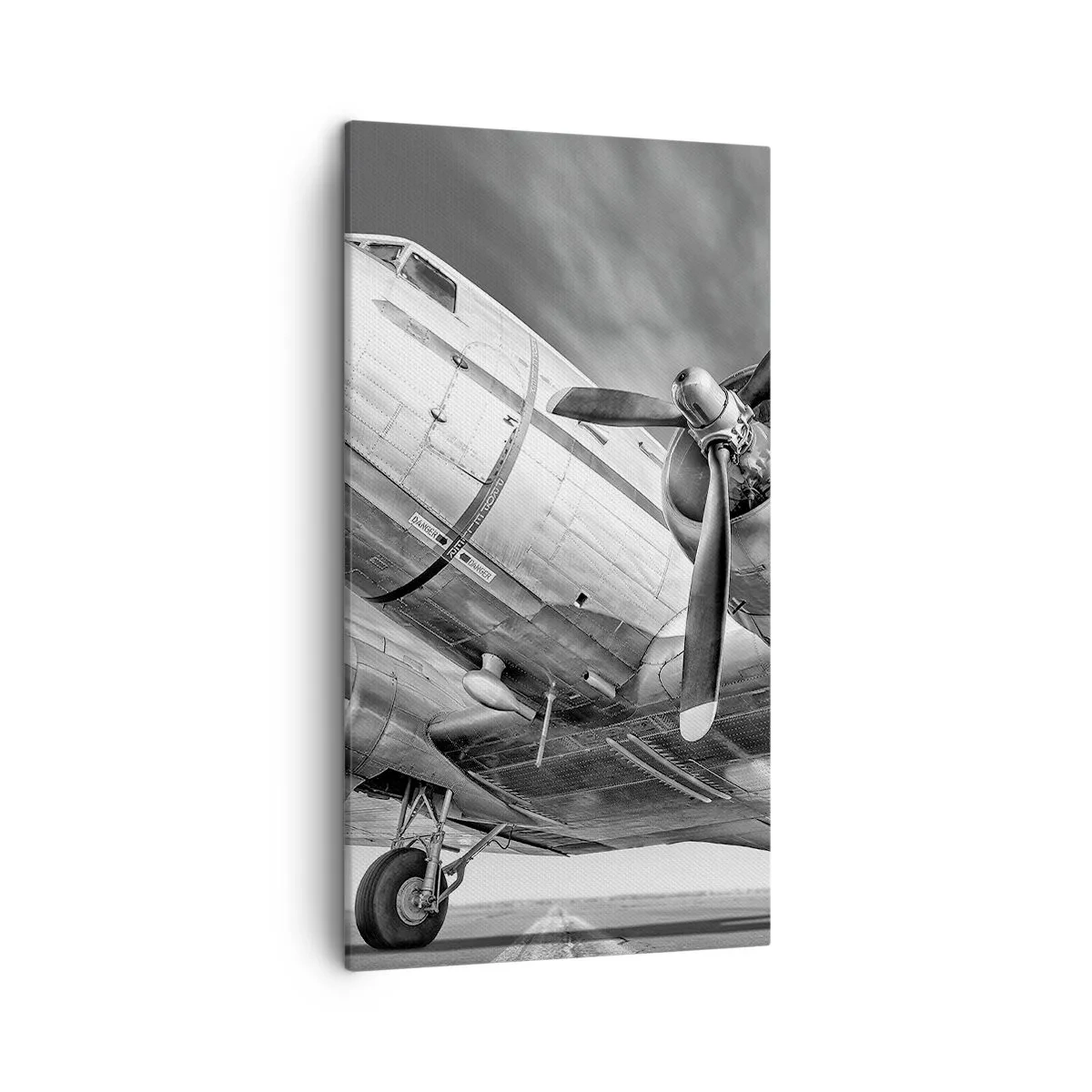 Impression sur toile - Image sur toile - Toujours prêt à voler - 45x80 cm