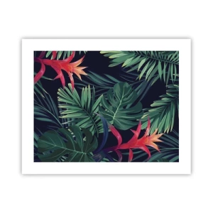 Affiche - Poster - immergé dans la nature - 50x40 cm