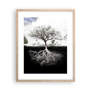 Affiche dans un chêne clair - Poster - Découvrir la nature du monde - 40x50 cm