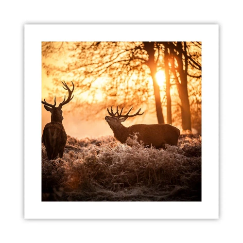 Affiche - Poster - Le rêve d'un chasseur - 40x40 cm