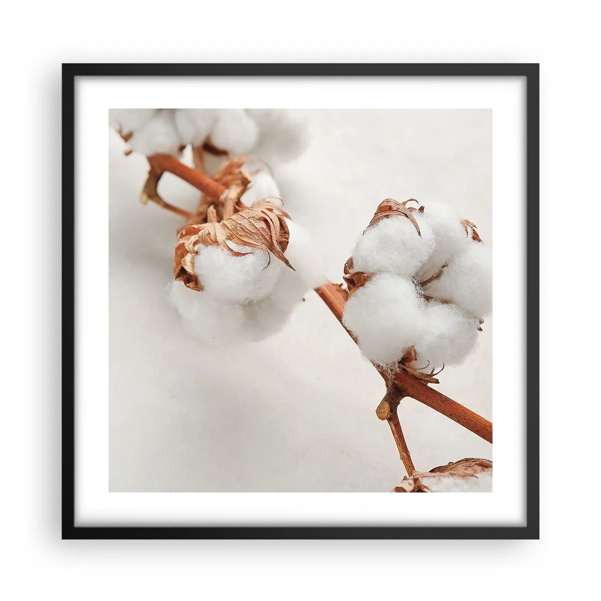 Affiche dans un cadre noir - Poster - Seulement caliner - 50x50 cm