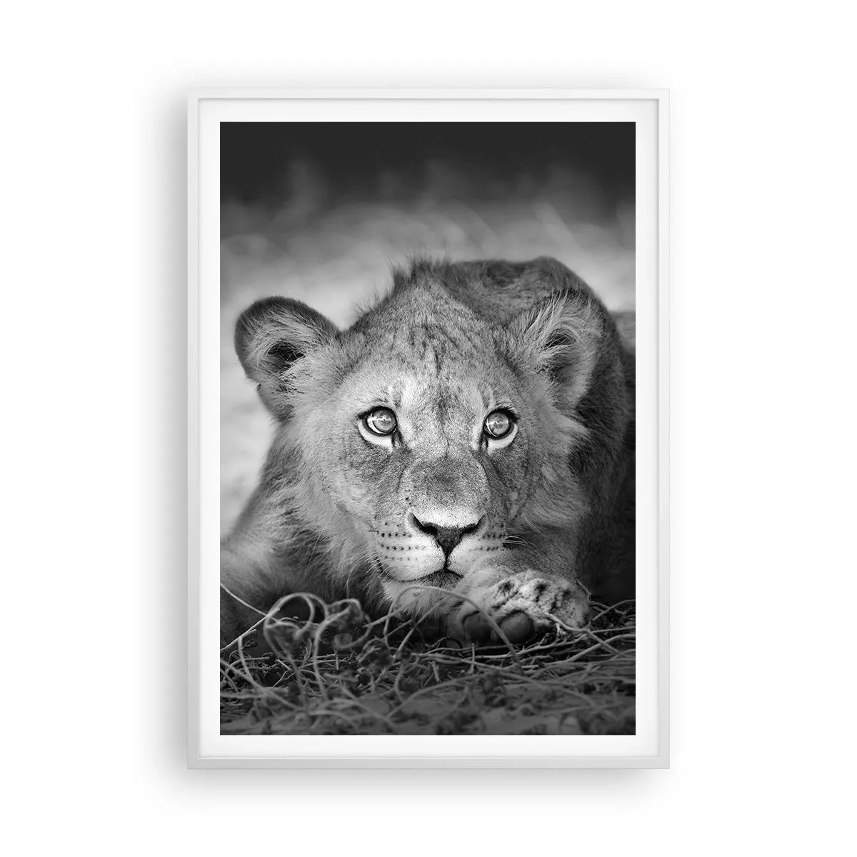 Affiche dans un cadre blanc - Poster - Chiot royal - 70x100 cm