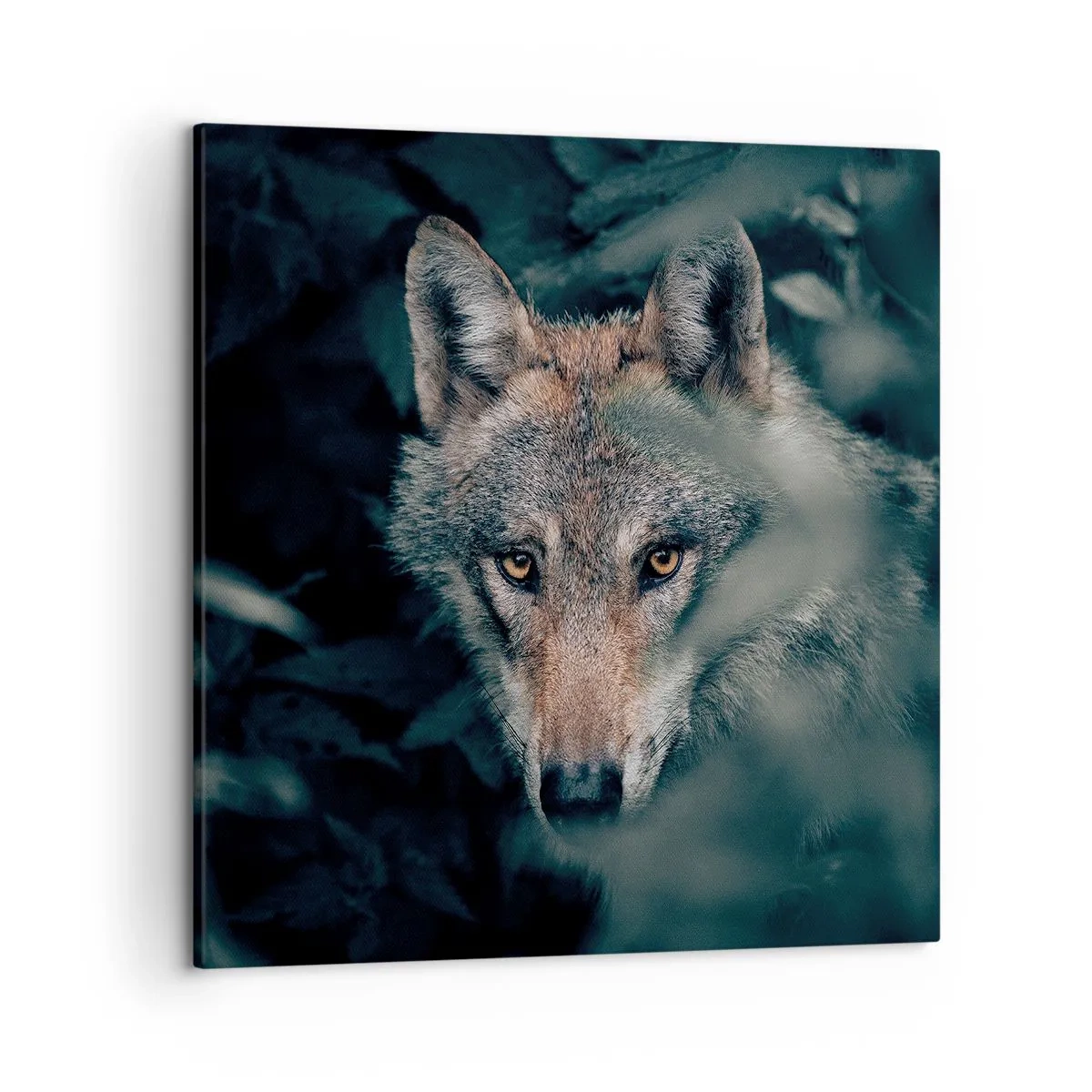 Impression sur toile - Image sur toile - Chasseur - 50x50 cm