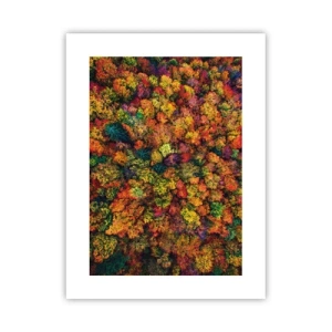 Affiche - Poster - Bouquet d'arbres automnal - 30x40 cm