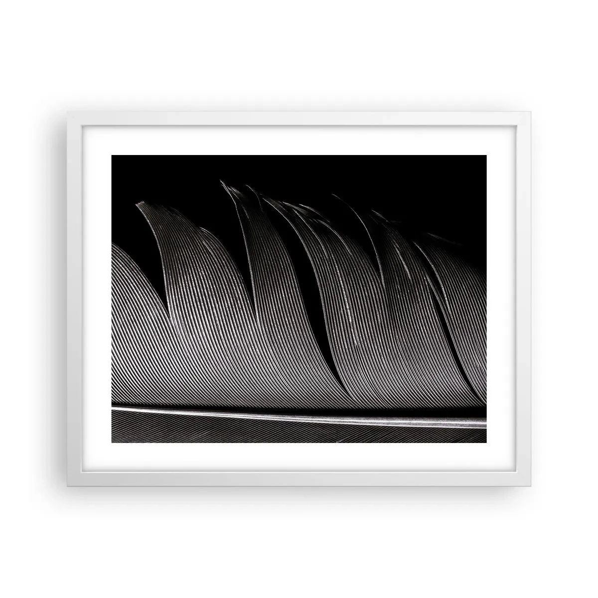 Affiche dans un cadre blanc - Poster - La plume – un design magnifique - 50x40 cm