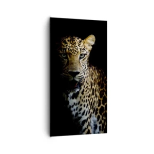 Impression sur toile - Image sur toile - Beauté sombre - 65x120 cm