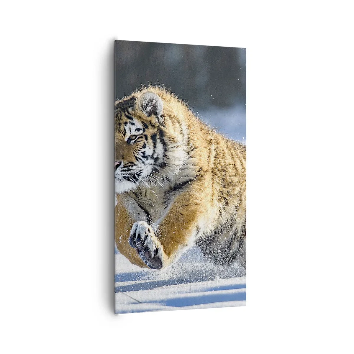 Impression sur toile - Image sur toile - Dieu de la taïga sibérienne - 65x120 cm