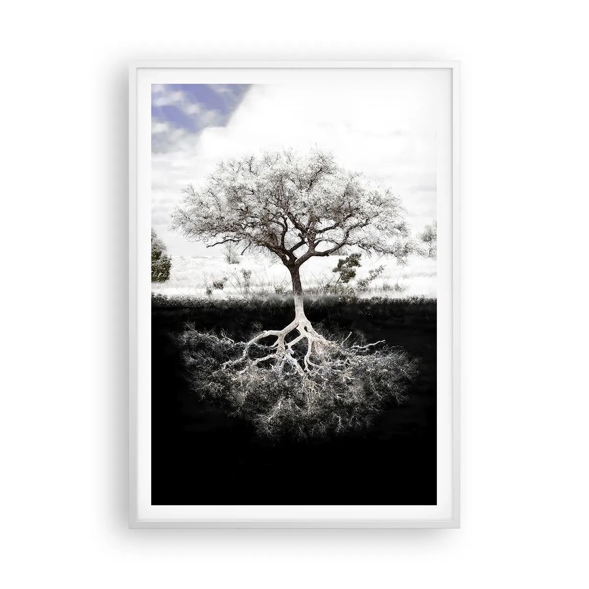 Affiche dans un cadre blanc - Poster - Découvrir la nature du monde - 70x100 cm