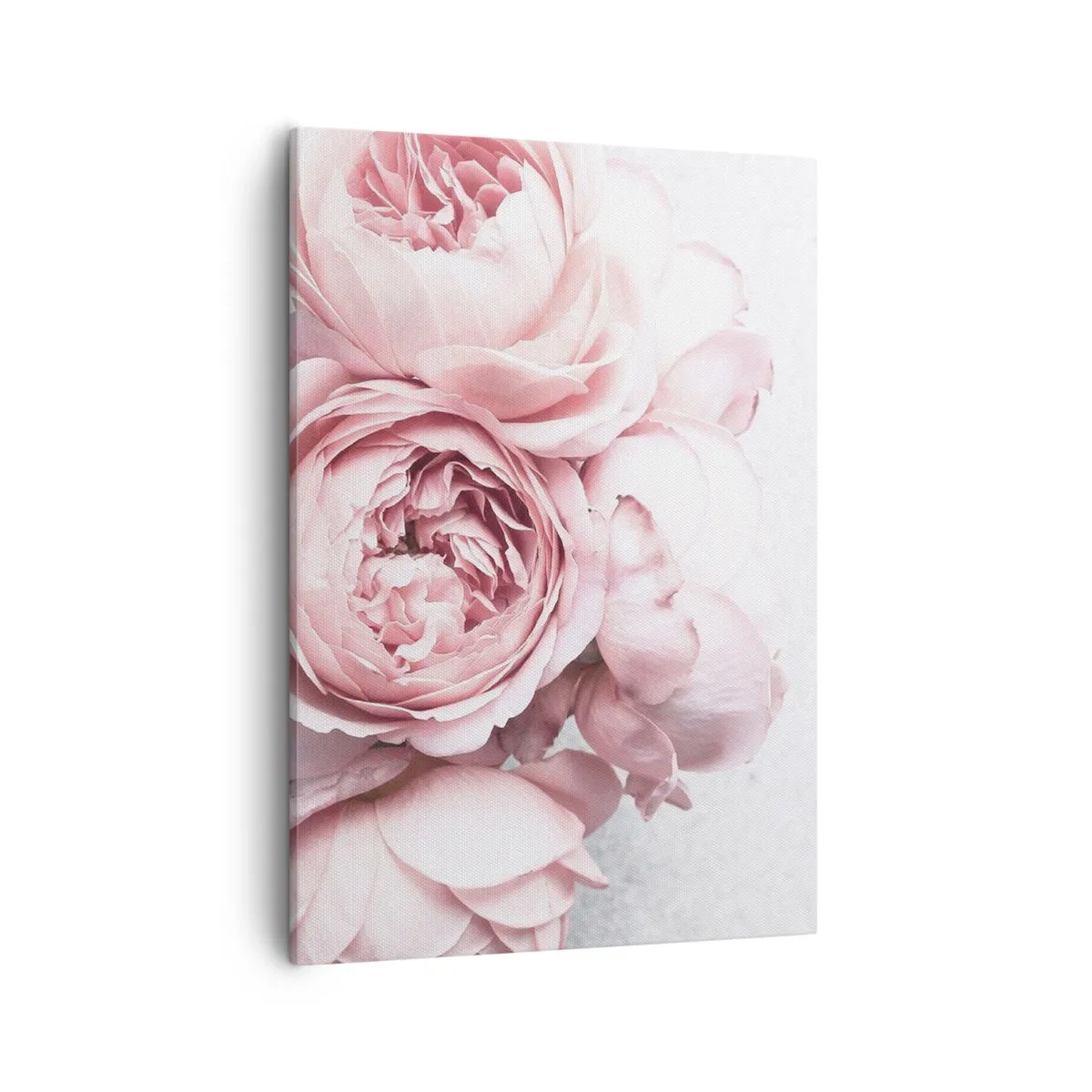 Impression sur toile - Image sur toile - Pivoines roses dans une lumière douce sur un fond clair - 50x70cm - Pour les romantiques - Décoration murale moderne pour le salon et la chambre ARTTOR