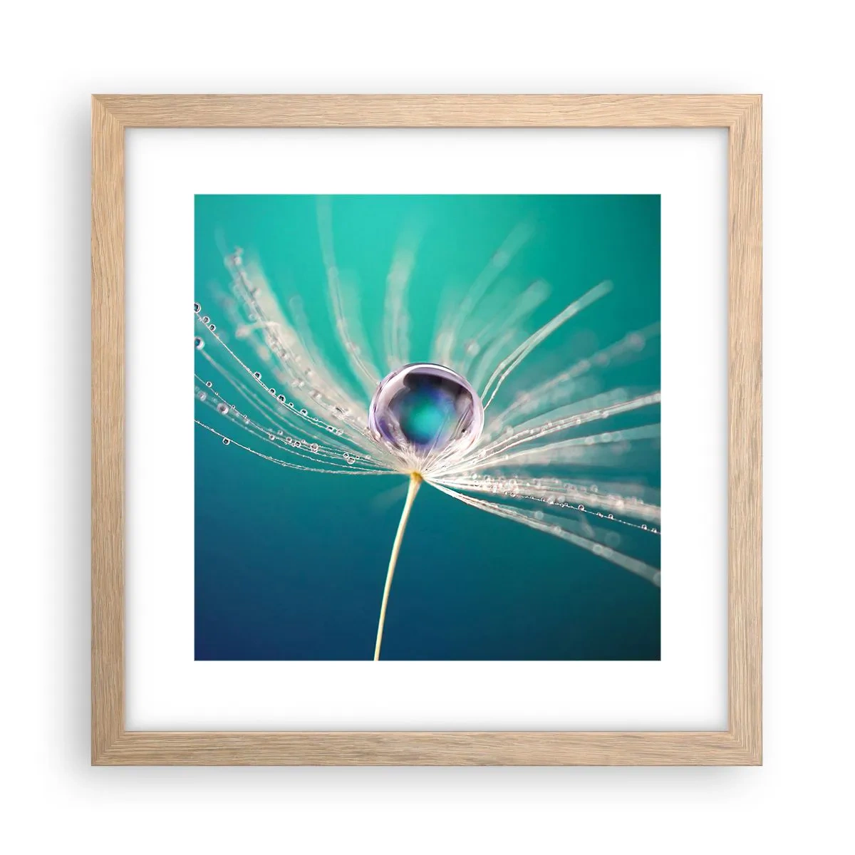 Affiche dans un chêne clair - Poster - Moment mystique - 30x30 cm