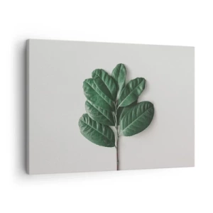 Impression sur toile - Image sur toile - Un brin de feuilles vertes sur un fond clair - 70x50cm - Dessin de la nature elle-même - Décoration murale moderne pour le salon et la chambre ARTTOR