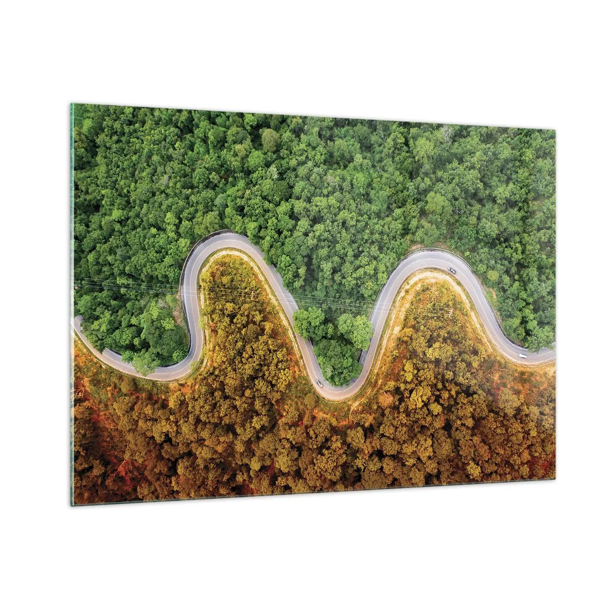 Impression sur verre - Image sur verre - Une route sinueuse à travers une forêt dense vue à vol d'oiseau - 100x70cm - Frontieres et differences - Décoration murale moderne pour le salon et la chambre ARTTOR