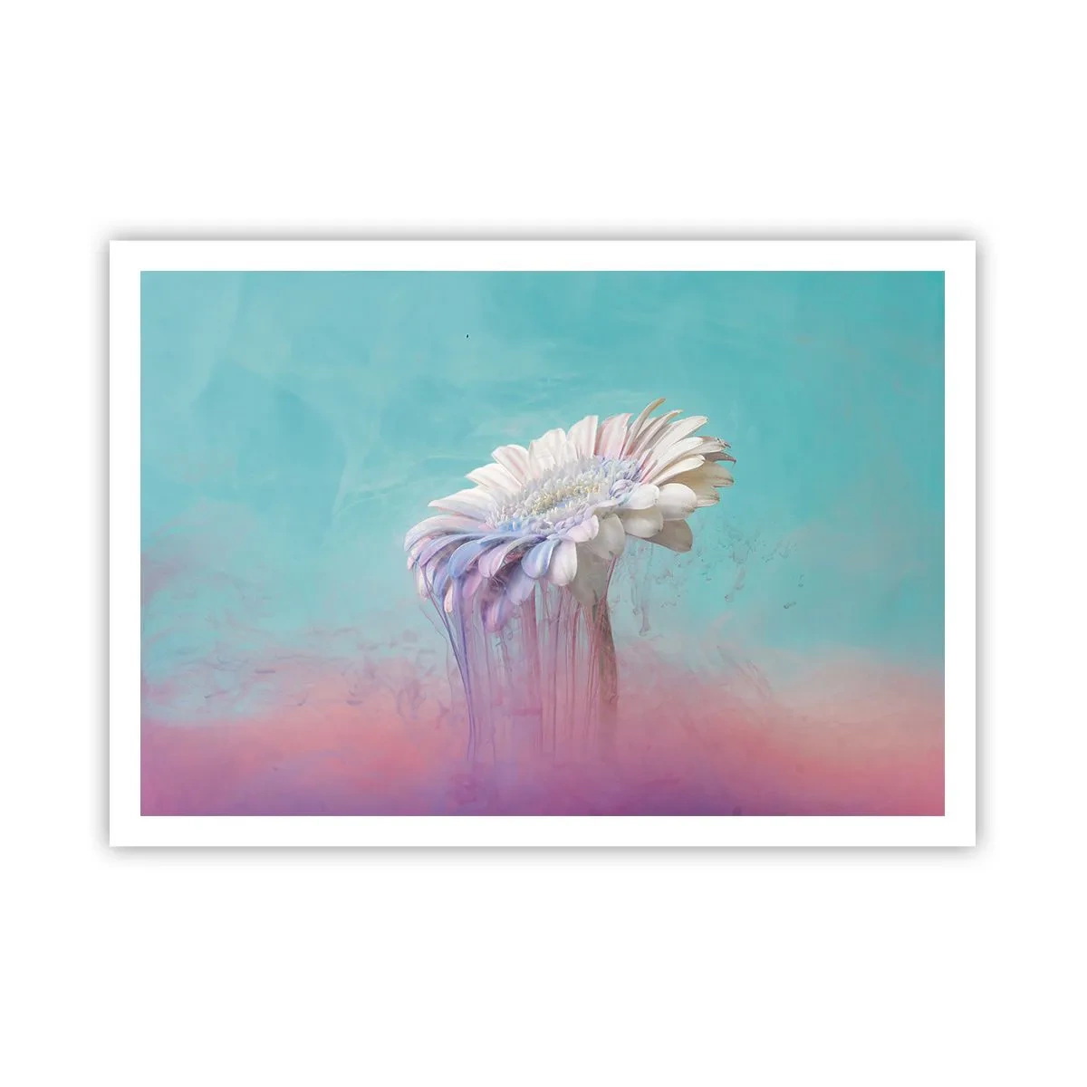 Affiche - Poster - Gerbera pastel avec effet flou - 100x70cm - Le monde souterrain des fleurs - Décoration murale moderne pour le salon et la chambre ARTTOR