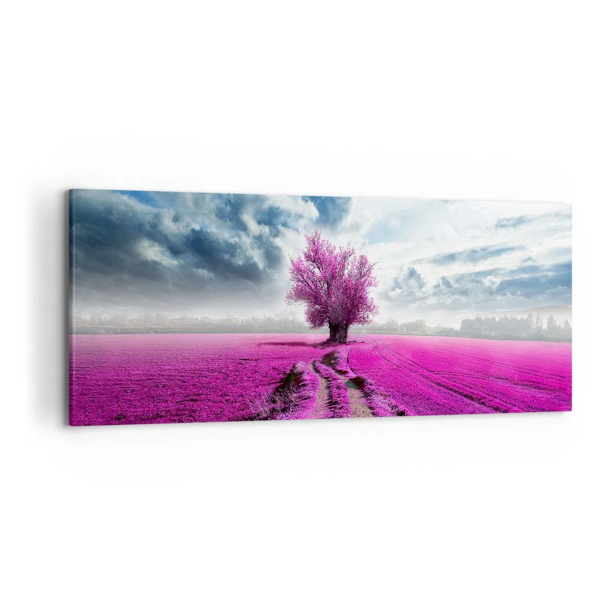 Impression sur toile - Image sur toile - Un arbre solitaire dans un champ dans une nuance de rose intense - 120x50cm - Lande - nature sauvage - Décoration murale moderne pour le salon et la chambre ARTTOR