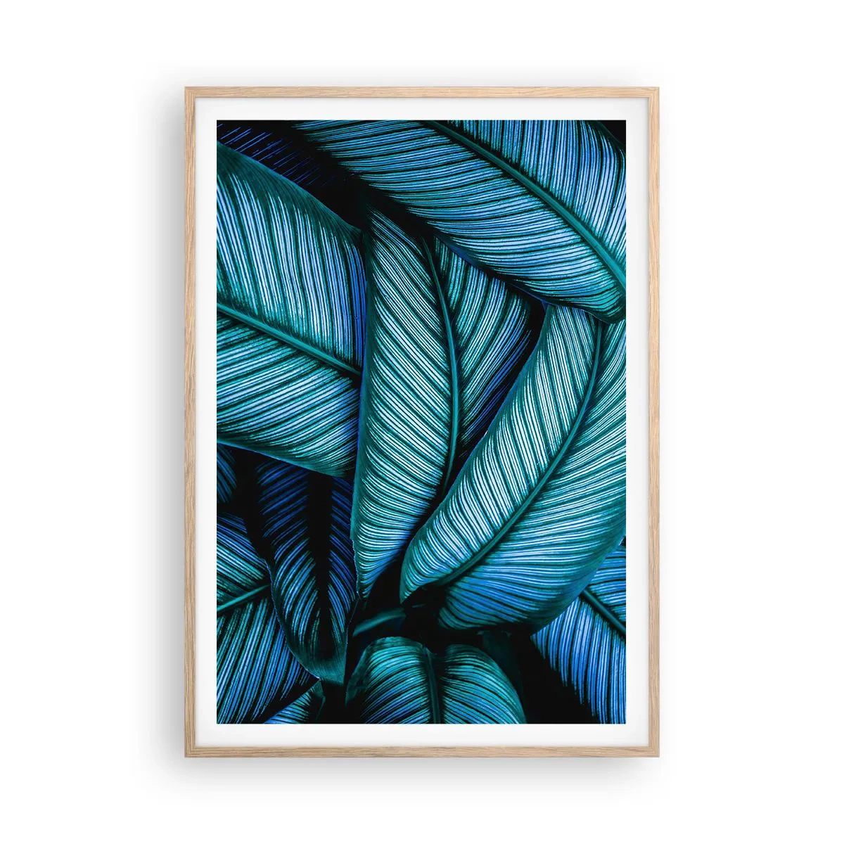 Affiche dans un chêne clair - Poster - Lignes de vie - 70x100 cm