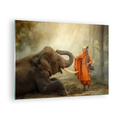 Impression sur verre - Image sur verre - Un moine en robe orange avec un éléphant dans un décor naturel - 70x50cm - Rencontre en voyageant - Décoration murale moderne pour le salon et la chambre ARTTOR