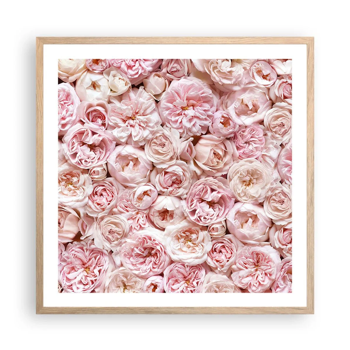 Affiche dans un chêne clair - Poster - Un lit de roses - 60x60 cm