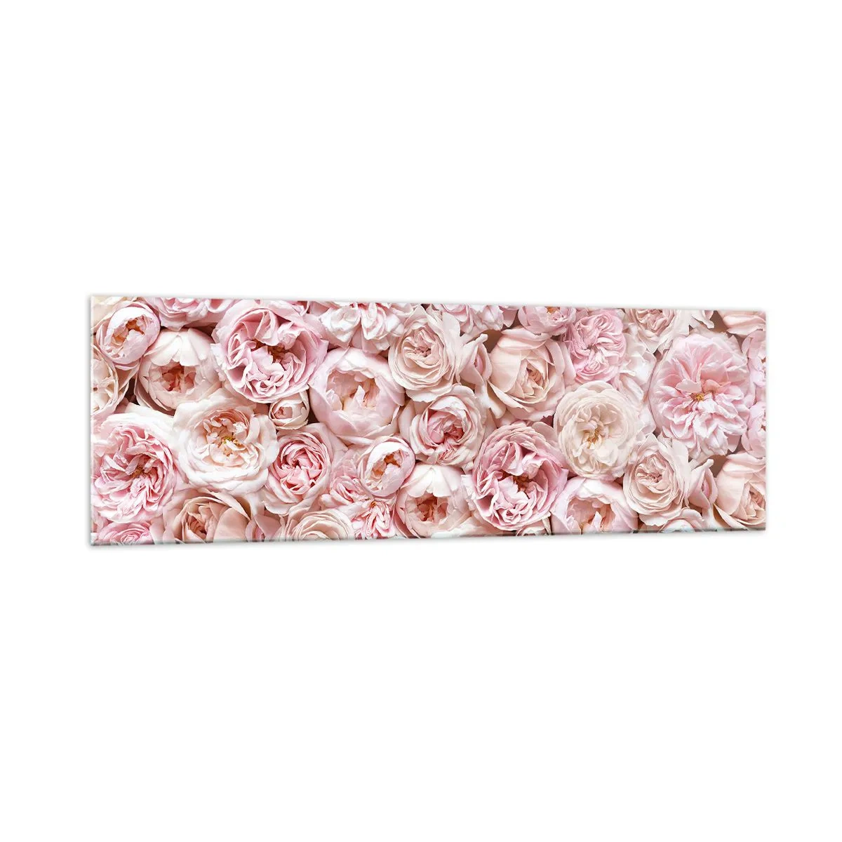 Impression sur verre - Image sur verre - Des roses délicates dans des tons de rose sur toute la surface - 160x50cm - Un lit de roses - Décoration murale moderne pour le salon et la chambre ARTTOR