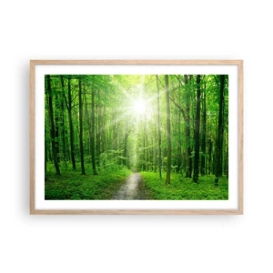 Affiche dans un chêne clair - Poster - Cathédrale verte - 70x50 cm