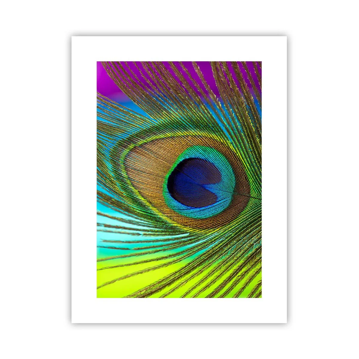 Affiche - Poster - Les yeux dans les yeux - 30x40 cm