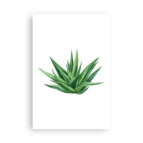 Affiche - Poster - Vert – force – vie - 61x91 cm