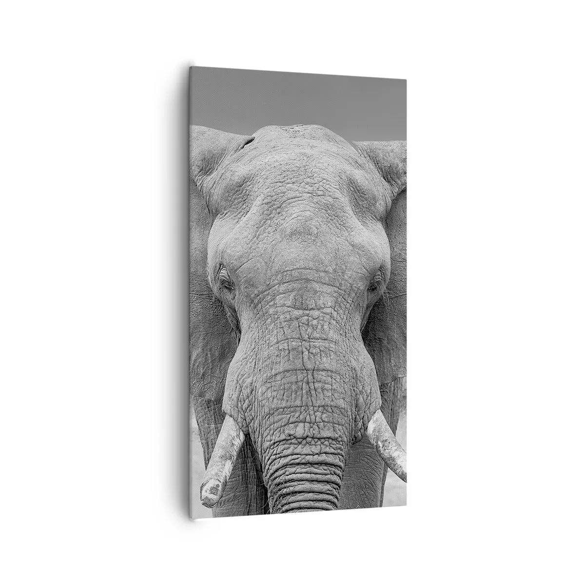 Impression sur toile - Image sur toile - Bienvenue dans mon monde - 65x120 cm