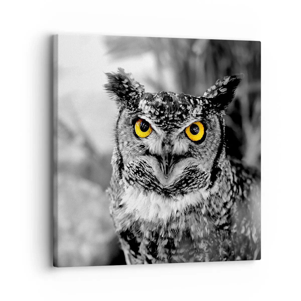 Impression sur toile - Image sur toile - Rien ne se cachera - 30x30 cm