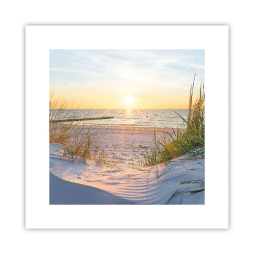 Affiche - Poster - Le bruit de la mer, le chant des oiseaux, une plage sauvage parmi les herbes… - 30x30 cm