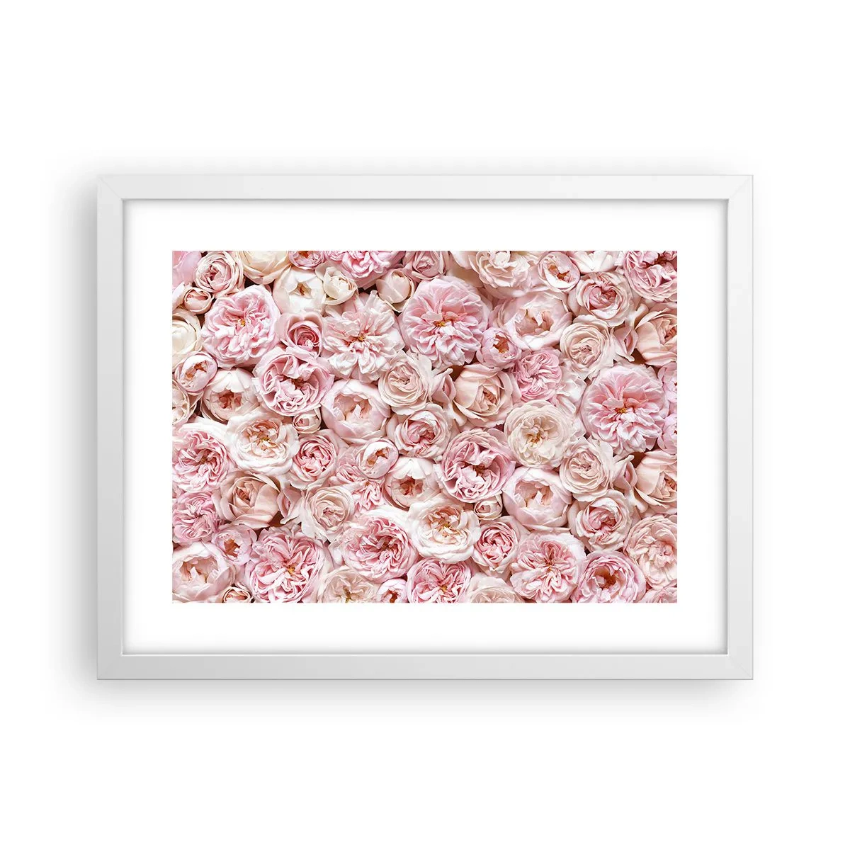 Affiche dans un cadre blanc - Poster - Un lit de roses - 40x30 cm